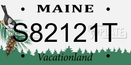 S82121T Maine License Plate