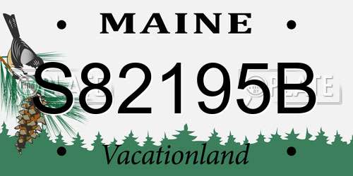 S82195B Maine License Plate