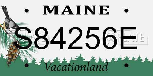 S84256E Maine License Plate