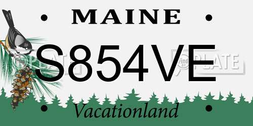S854VE Maine License Plate