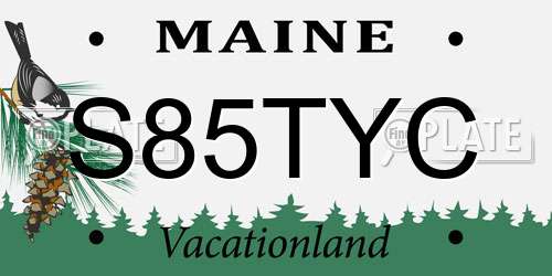S85TYC Maine License Plate