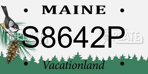 S8642P Maine License Plate