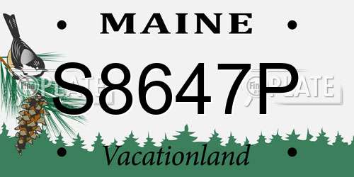 S8647P Maine License Plate