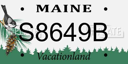 S8649B Maine License Plate