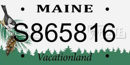 S865816 Maine License Plate