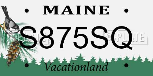 S875SQ Maine License Plate