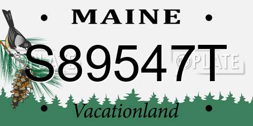 S89547T Maine License Plate