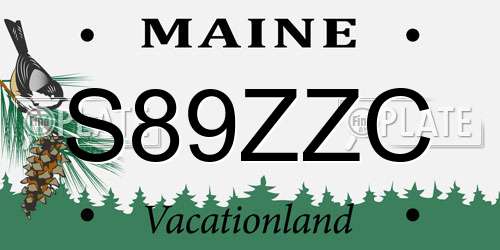 S89ZZC Maine License Plate