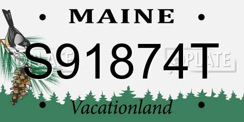 S91874T Maine License Plate
