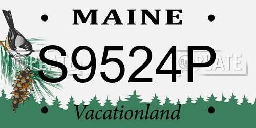 S9524P Maine License Plate