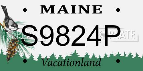 S9824P Maine License Plate