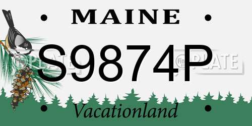 S9874P Maine License Plate