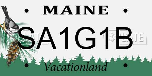 SA1G1B Maine License Plate