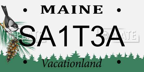 SA1T3A Maine License Plate