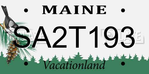 SA2T193 Maine License Plate