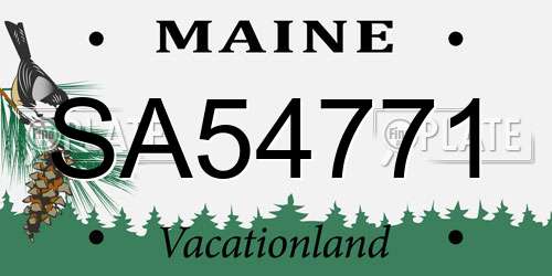 SA54771 Maine License Plate