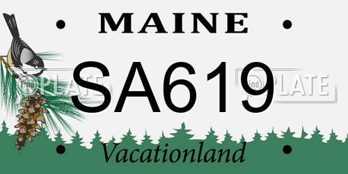 SA619 Maine License Plate