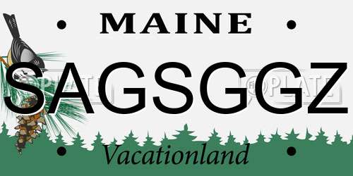 SAGSGGZ Maine License Plate