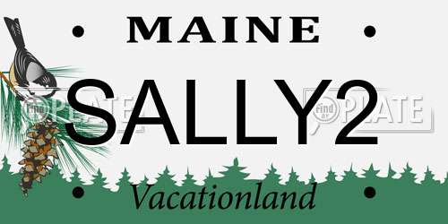 SALLY2 Maine License Plate