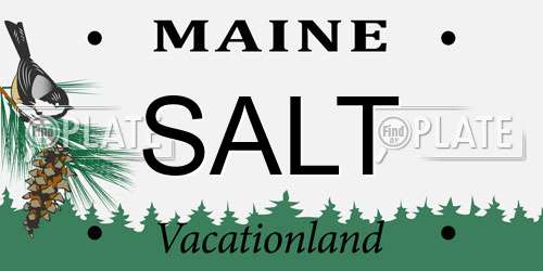 SALT Maine License Plate