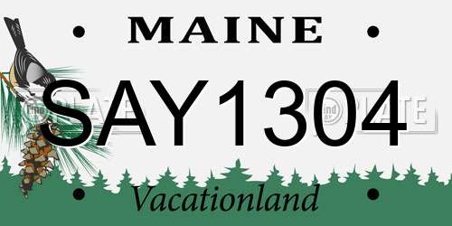 SAY1304 Maine License Plate