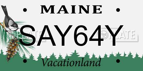 SAY64Y Maine License Plate