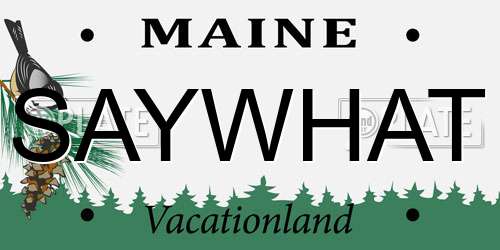 SAYWHAT Maine License Plate