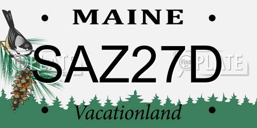 SAZ27D Maine License Plate