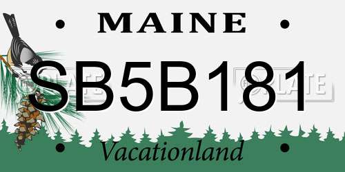 SB5B181 Maine License Plate