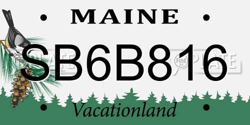SB6B816 Maine License Plate