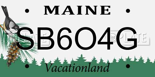 SB6O4G Maine License Plate