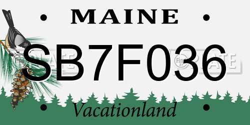SB7F036 Maine License Plate