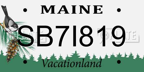 SB7I819 Maine License Plate