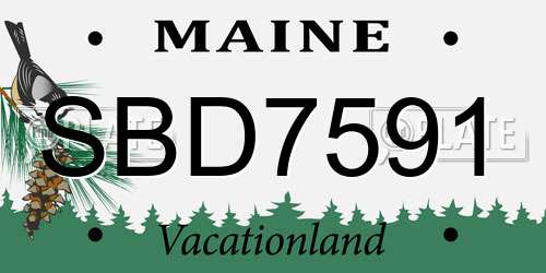 SBD7591 Maine License Plate