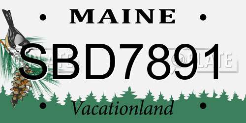 SBD7891 Maine License Plate