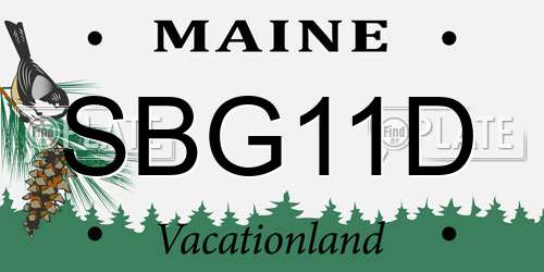 SBG11D Maine License Plate