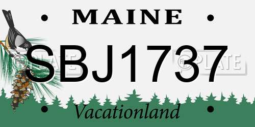 SBJ1737 Maine License Plate