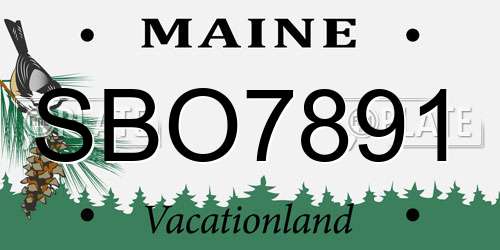 SBO7891 Maine License Plate