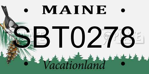 SBT0278 Maine License Plate