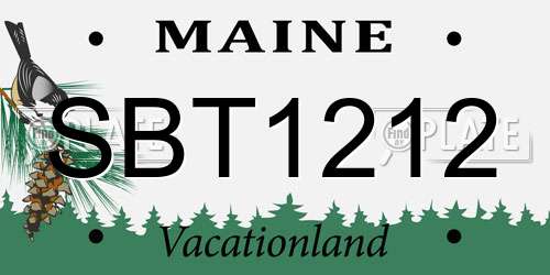 SBT1212 Maine License Plate