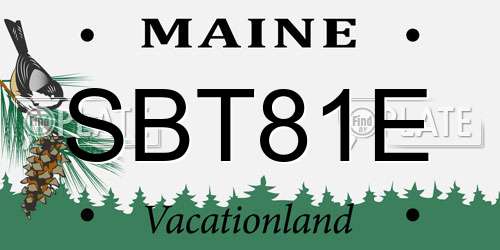 SBT81E Maine License Plate