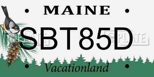 SBT85D Maine License Plate