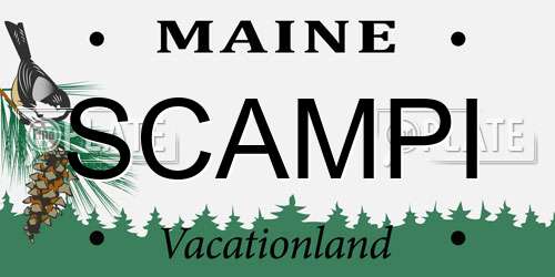 SCAMPI Maine License Plate