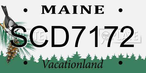 SCD7172 Maine License Plate