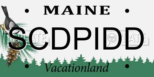 SCDPIDD Maine License Plate