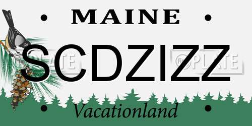 SCDZIZZ Maine License Plate