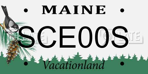 SCE00S Maine License Plate