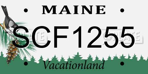 SCF1255 Maine License Plate
