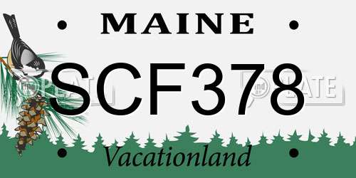 SCF378 Maine License Plate
