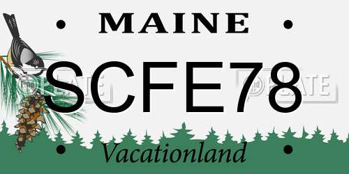 SCFE78 Maine License Plate